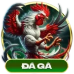 banner-da-ga-jw88